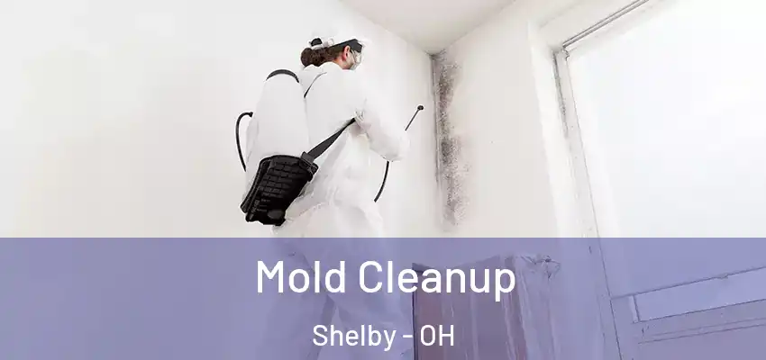 Mold Cleanup Shelby - OH