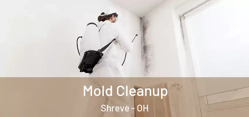  Mold Cleanup Shreve - OH