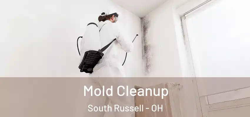 Mold Cleanup South Russell - OH