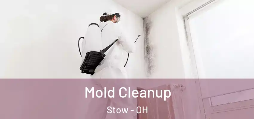  Mold Cleanup Stow - OH