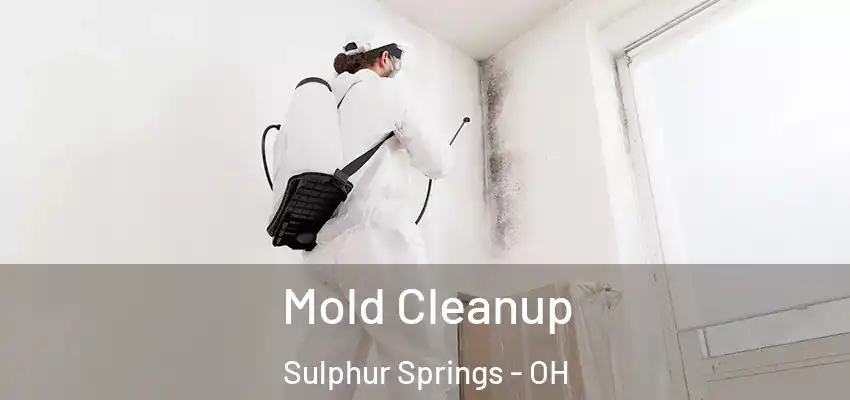Mold Cleanup Sulphur Springs - OH
