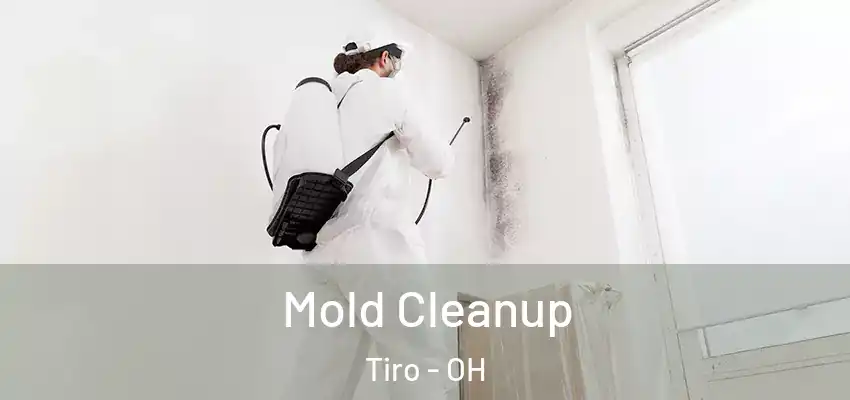  Mold Cleanup Tiro - OH