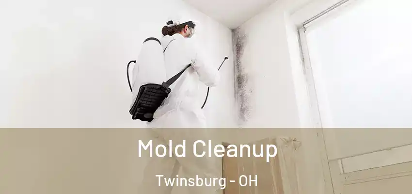 Mold Cleanup Twinsburg - OH
