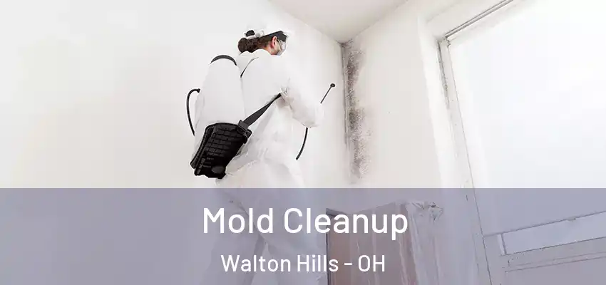 Mold Cleanup Walton Hills - OH