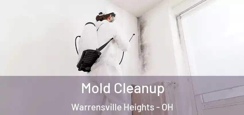  Mold Cleanup Warrensville Heights - OH
