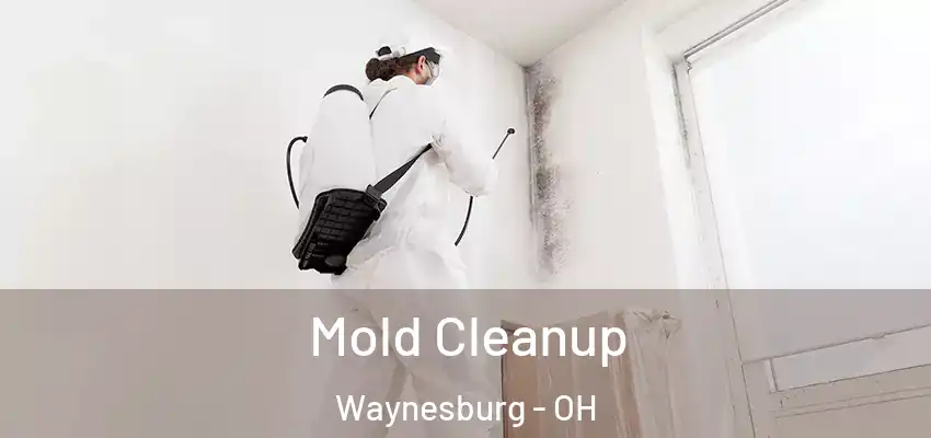 Mold Cleanup Waynesburg - OH