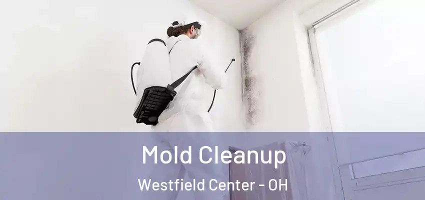 Mold Cleanup Westfield Center - OH