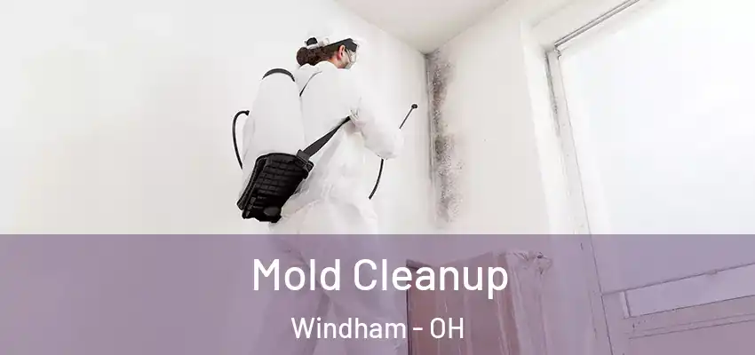  Mold Cleanup Windham - OH