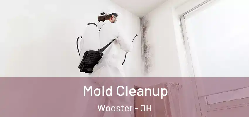 Mold Cleanup Wooster - OH