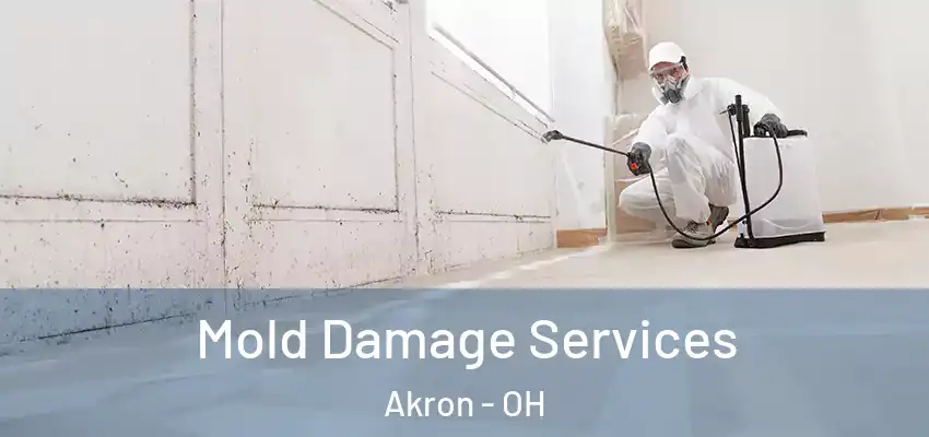  Mold Damage Services Akron - OH