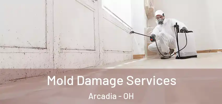 Mold Damage Services Arcadia - OH