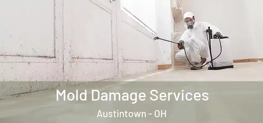 Mold Damage Services Austintown - OH