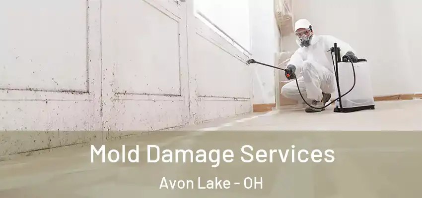 Mold Damage Services Avon Lake - OH