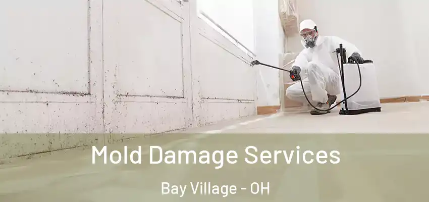  Mold Damage Services Bay Village - OH