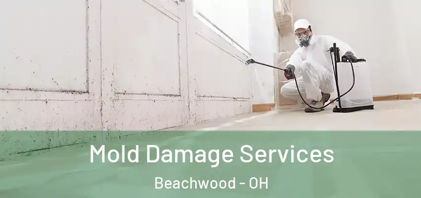  Mold Damage Services Beachwood - OH