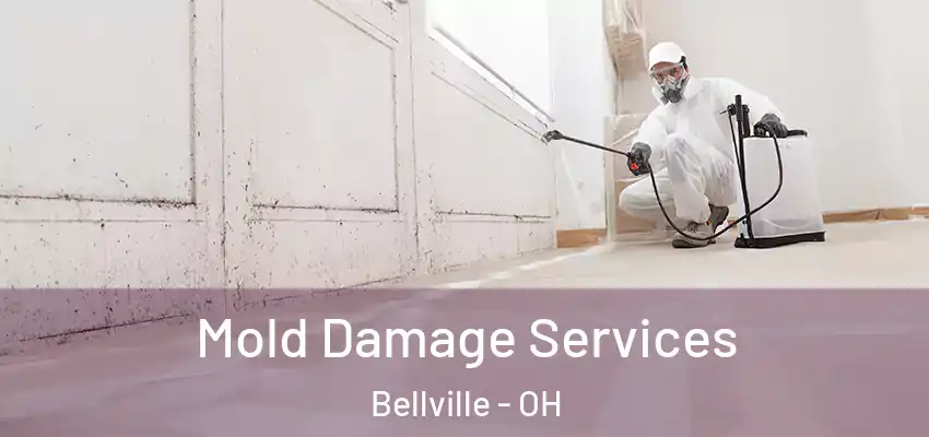 Mold Damage Services Bellville - OH