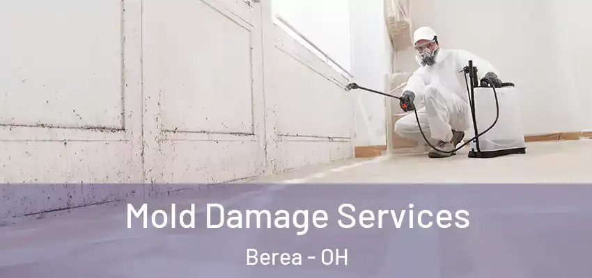  Mold Damage Services Berea - OH
