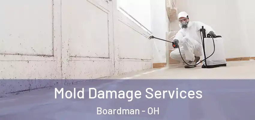 Mold Damage Services Boardman - OH
