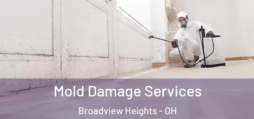Mold Damage Services Broadview Heights - OH