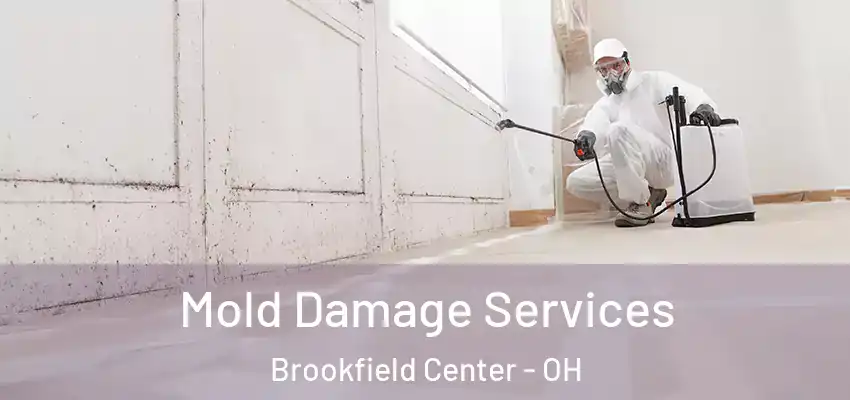  Mold Damage Services Brookfield Center - OH