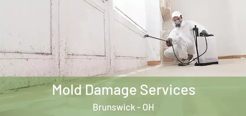 Mold Damage Services Brunswick - OH
