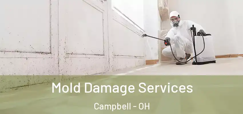  Mold Damage Services Campbell - OH