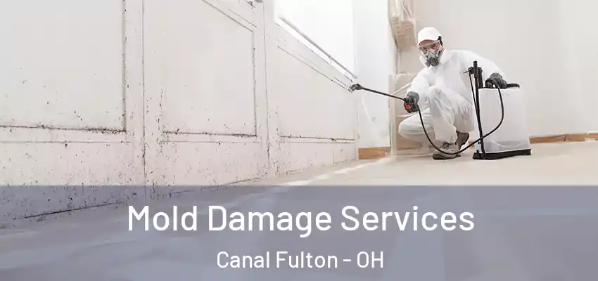  Mold Damage Services Canal Fulton - OH
