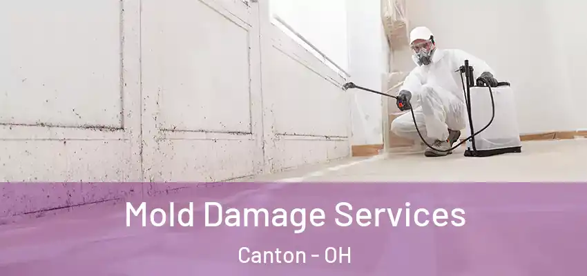 Mold Damage Services Canton - OH