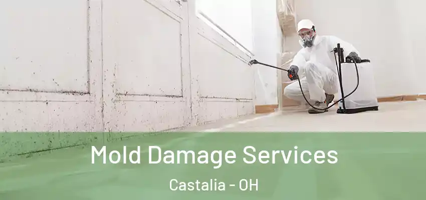 Mold Damage Services Castalia - OH
