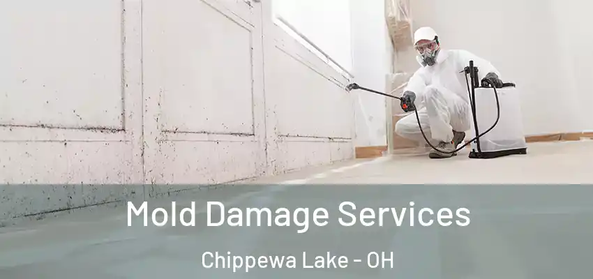  Mold Damage Services Chippewa Lake - OH