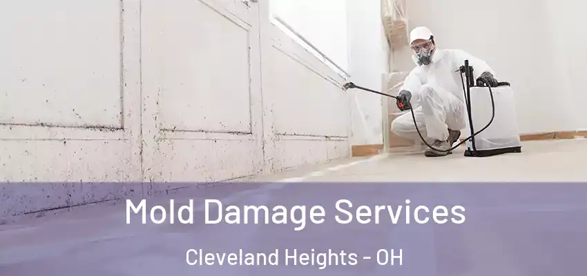  Mold Damage Services Cleveland Heights - OH