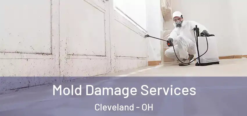 Mold Damage Services Cleveland - OH