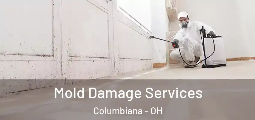  Mold Damage Services Columbiana - OH