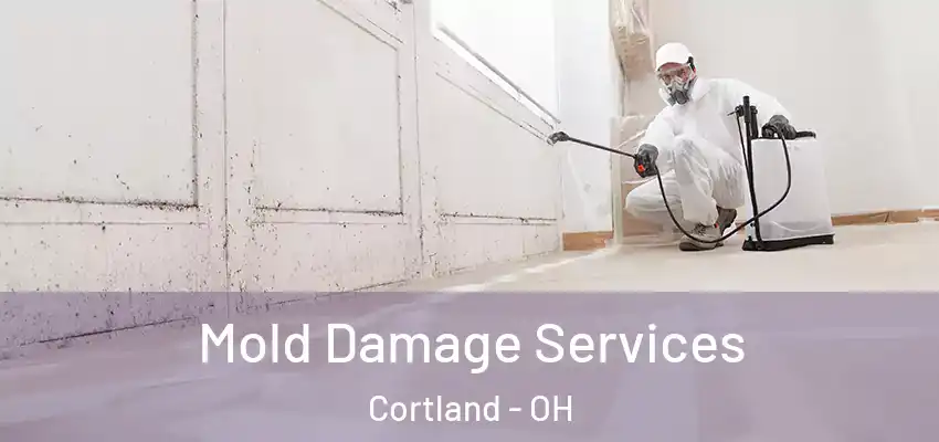 Mold Damage Services Cortland - OH