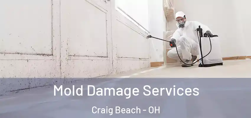  Mold Damage Services Craig Beach - OH