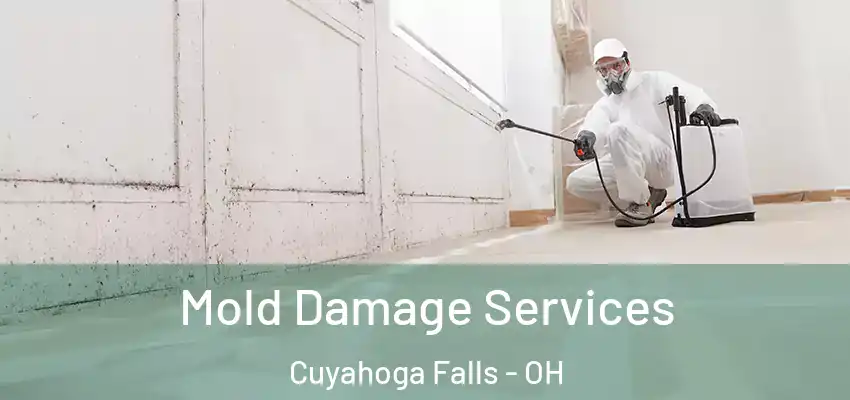 Mold Damage Services Cuyahoga Falls - OH