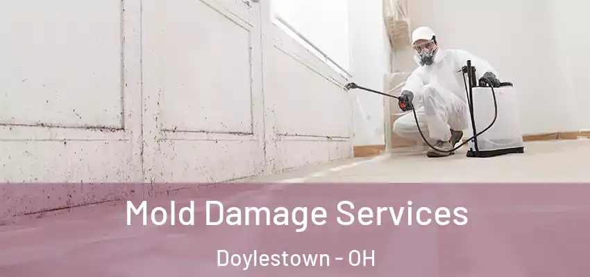  Mold Damage Services Doylestown - OH