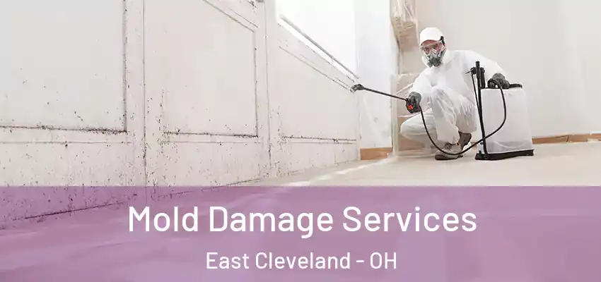 Mold Damage Services East Cleveland - OH