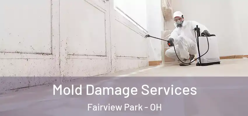  Mold Damage Services Fairview Park - OH