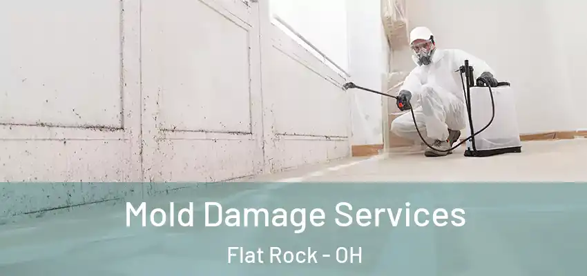  Mold Damage Services Flat Rock - OH