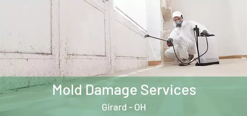  Mold Damage Services Girard - OH
