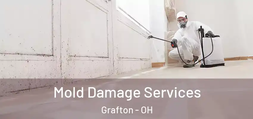 Mold Damage Services Grafton - OH