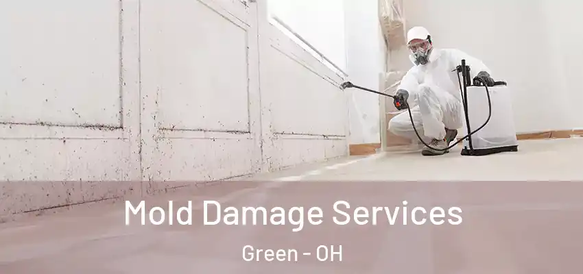  Mold Damage Services Green - OH