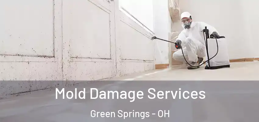 Mold Damage Services Green Springs - OH