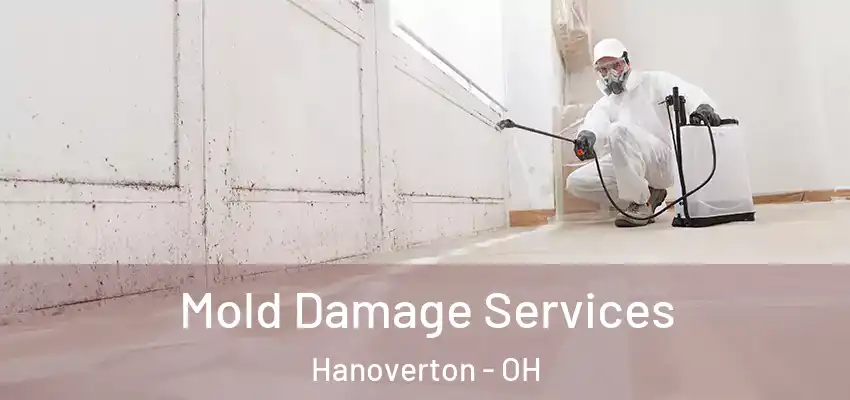  Mold Damage Services Hanoverton - OH