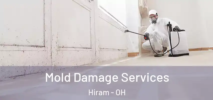 Mold Damage Services Hiram - OH