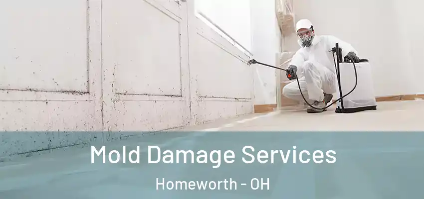 Mold Damage Services Homeworth - OH