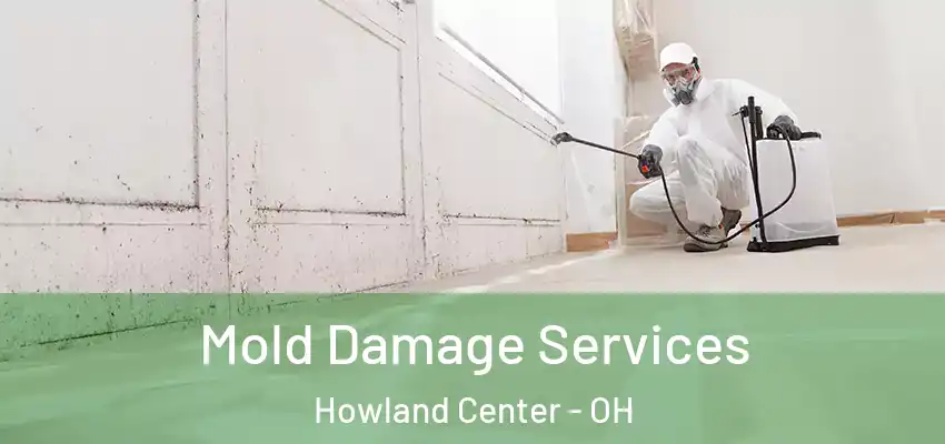 Mold Damage Services Howland Center - OH