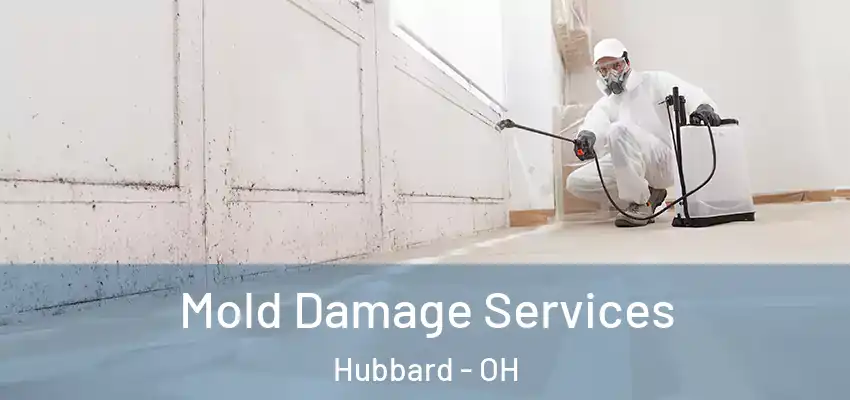  Mold Damage Services Hubbard - OH