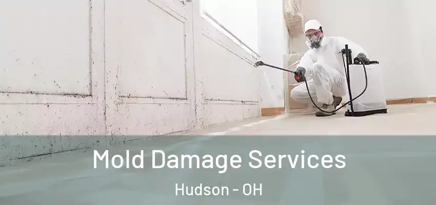  Mold Damage Services Hudson - OH